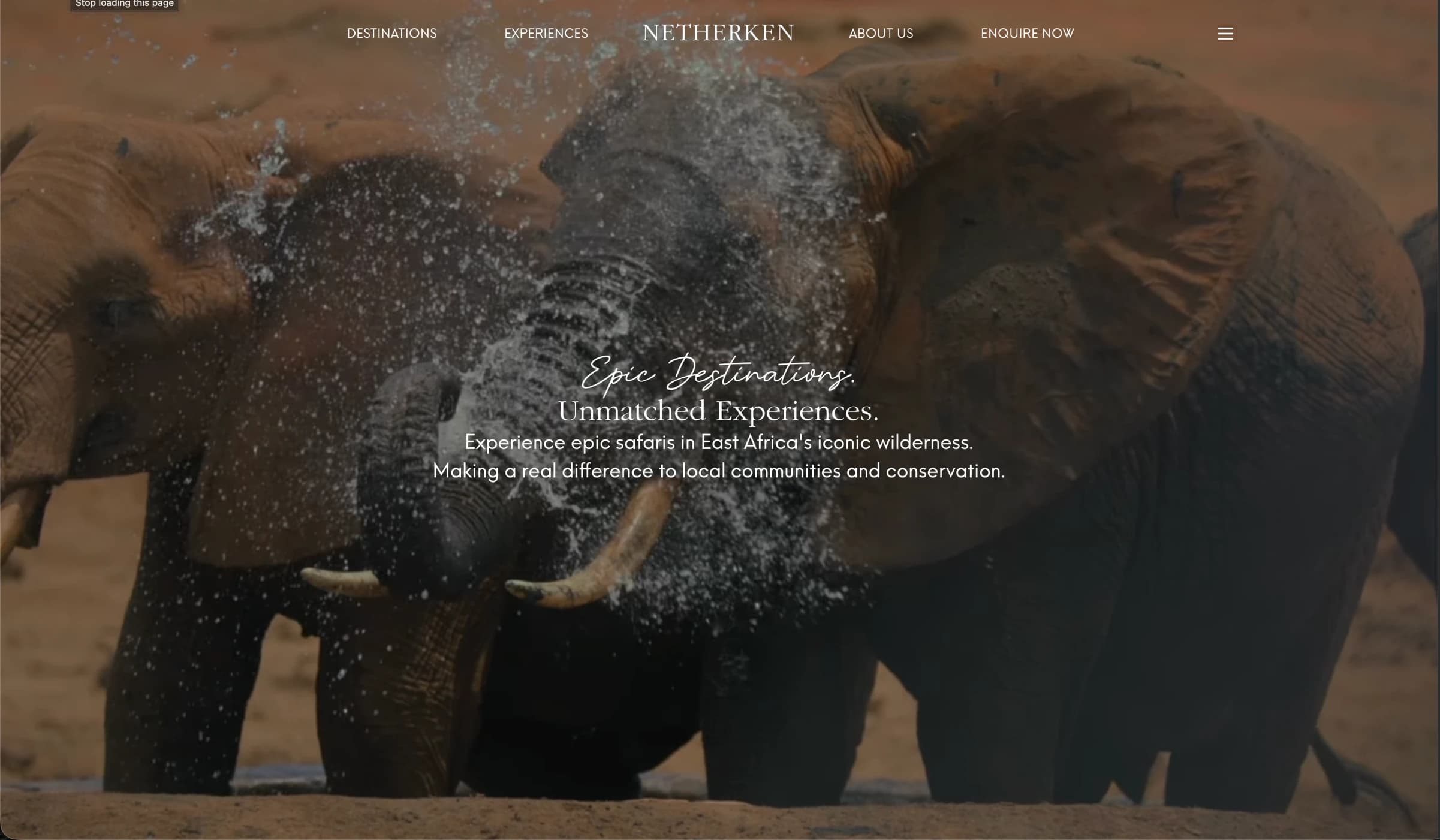 Website 1